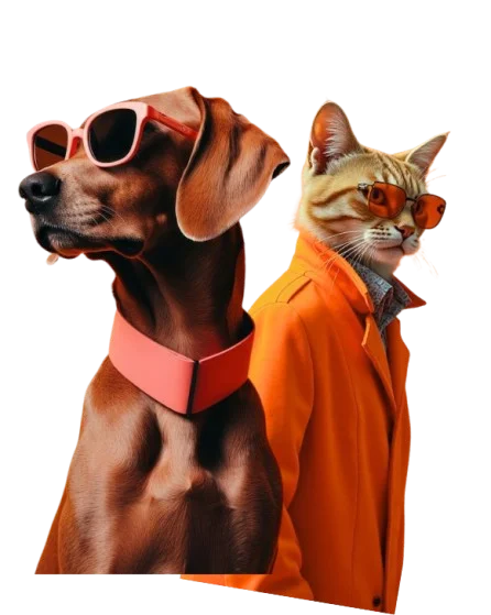 A dog and a cat in sunglasses